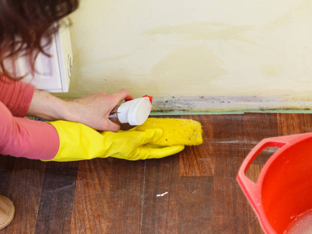 Best Mold Prevention Services  in Mitchell, SD